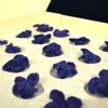 24 Violettes Premium Cristallisées