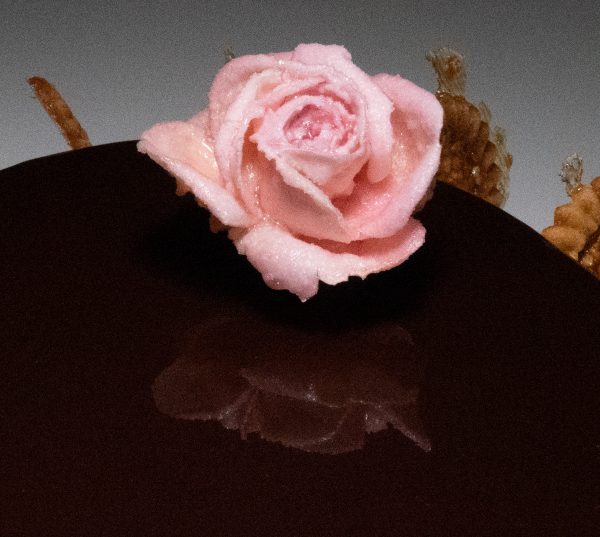 Rose Premium Cristallisée sur entremet chocolat